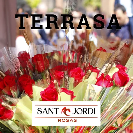 Vender Rosas de Sant Jordi en Terrasa