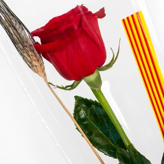 Rosa Sant Jordi + complementos (para montarlo tú mism@)